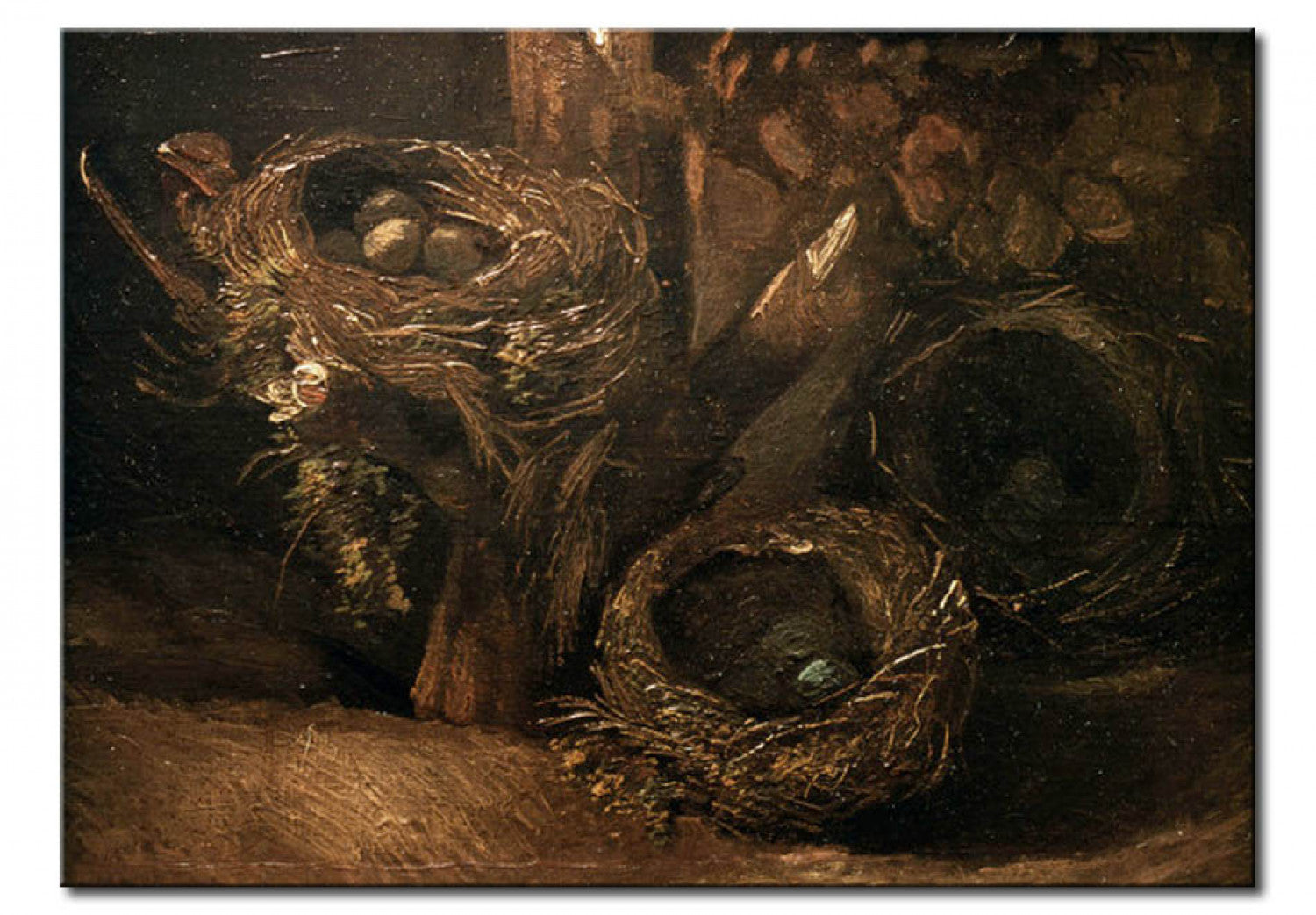 Bird nests - Vincent van Gogh