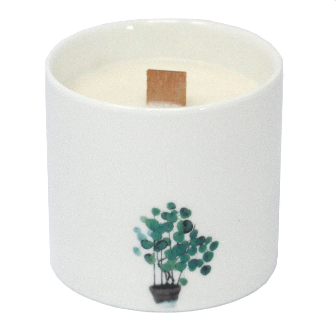 Botanical Wooden Wick Soy Candles
